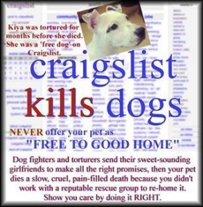 Pets Do not Belong on Craigslist - Ever! 